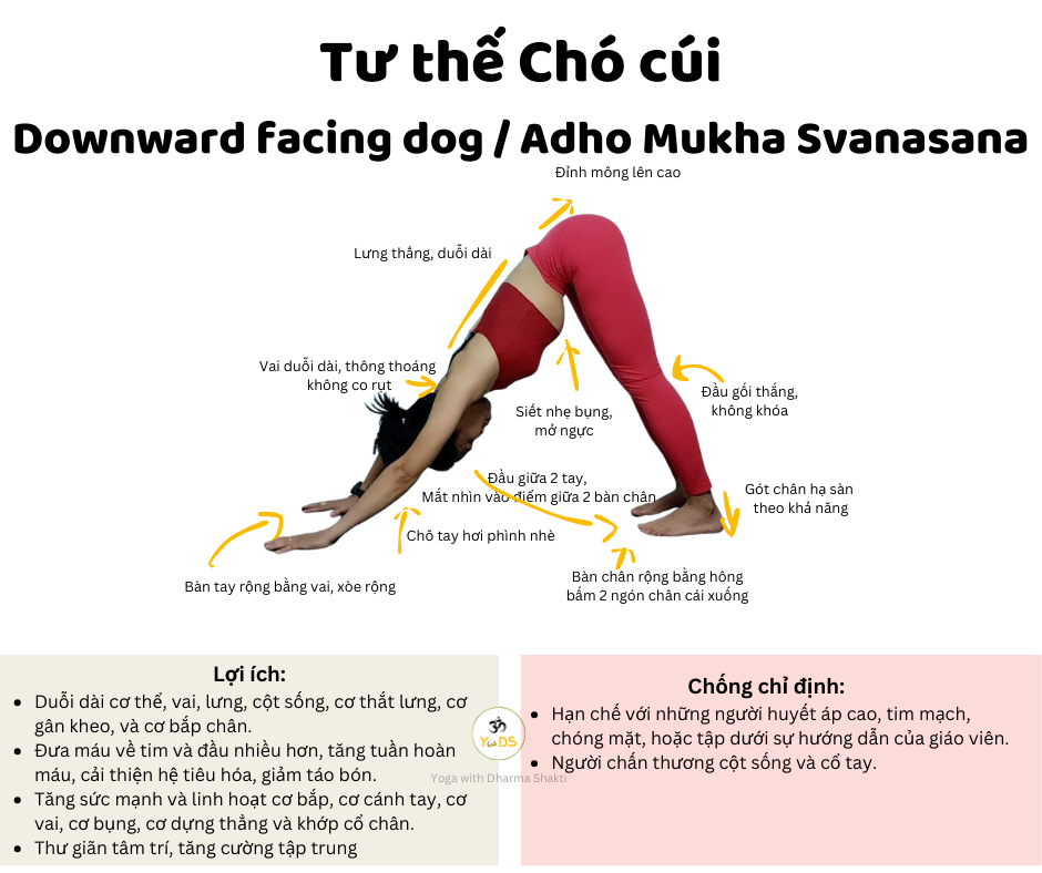 Downward Facing dog_OmYouarehere (1)