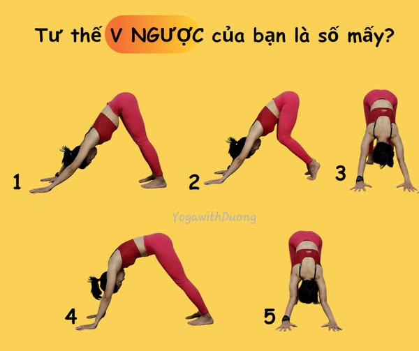 V nguoc Chi giao Yoga